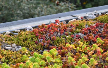 the cost of Finaghy green roof installation