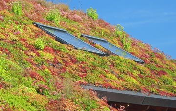 Finaghy living roof systems